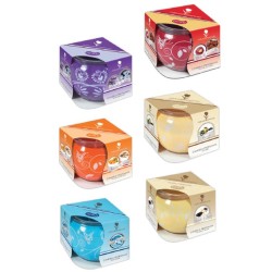 DEALO NATURAL ESSENCES CANDELA 85gr