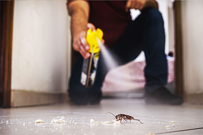 Insetticida e repellenti